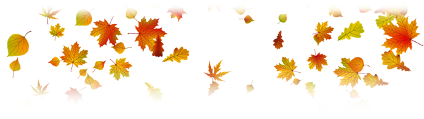 Promo bg hat2